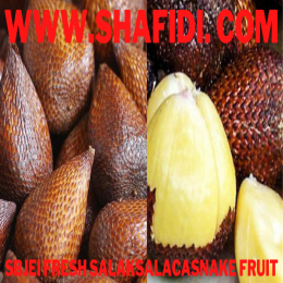 FRESH SALAKSALACASNAKE FRUIT